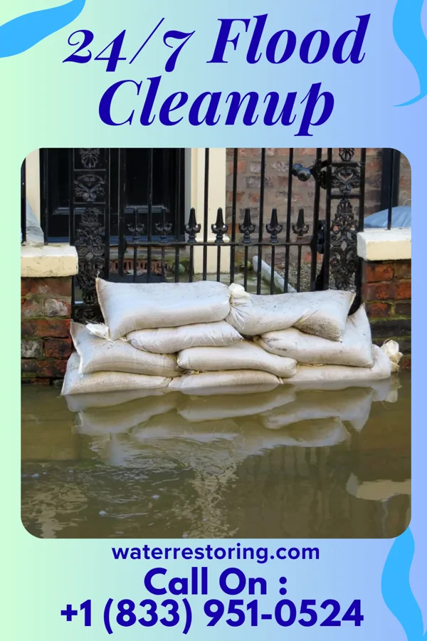 24/7 Flood Cleanup in Cheviot, OH