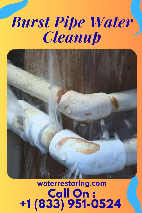 Burst Pipe Water Cleanup in Cheviot, OH