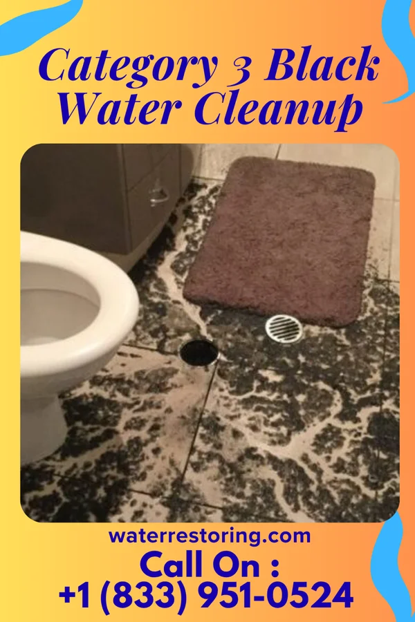 Category 3 Black Water Cleanup in Cheviot, OH