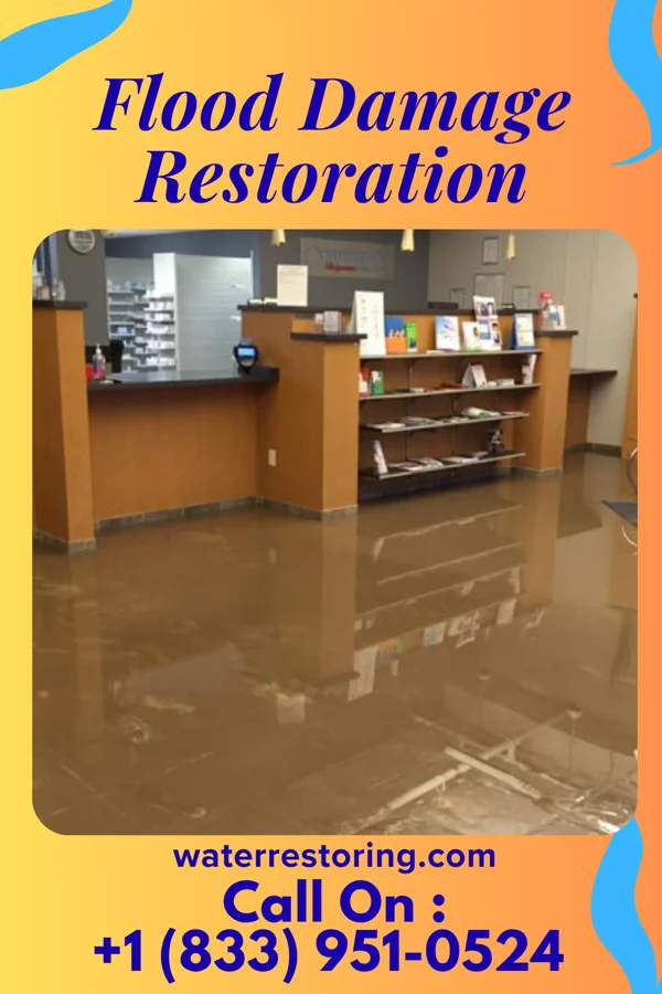 Flood Damage Restoration in Cheviot, OH
