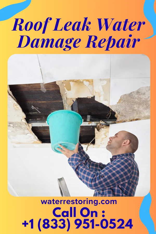 Roof Leak Water Damage Repair in Cheviot, OH