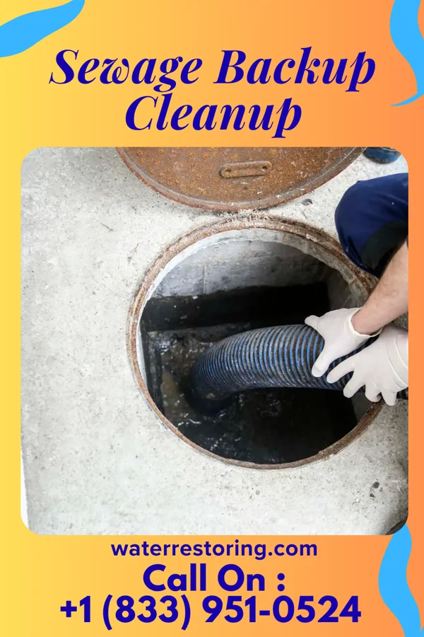 Sewage Backup Cleanup in Cheviot, OH