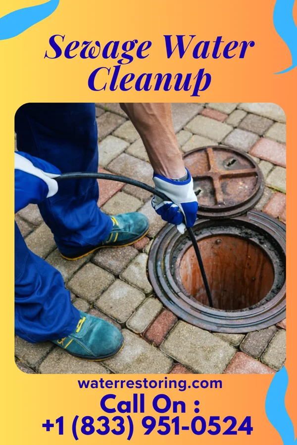 Sewage Water Cleanup in Cheviot, OH