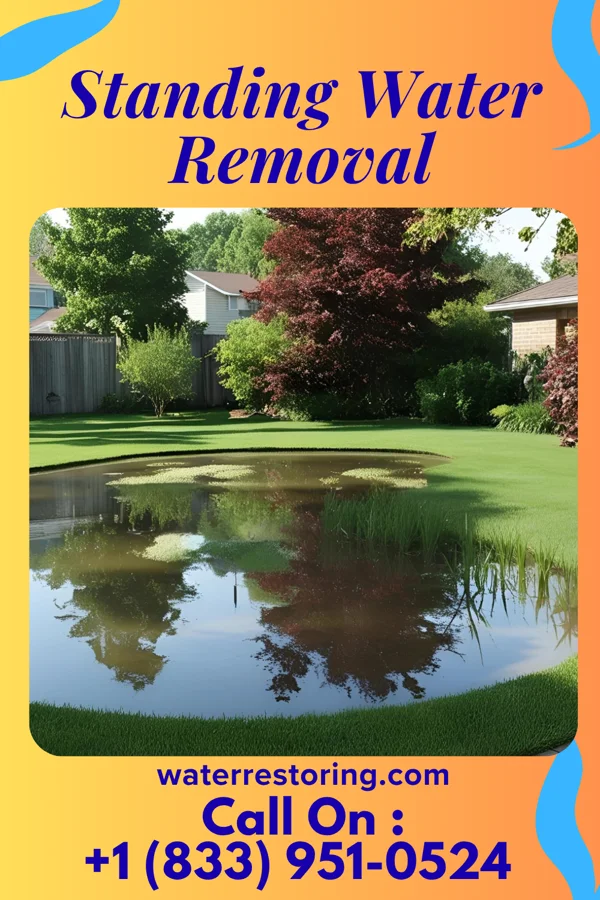 Standing Water Removal in Cheviot, OH